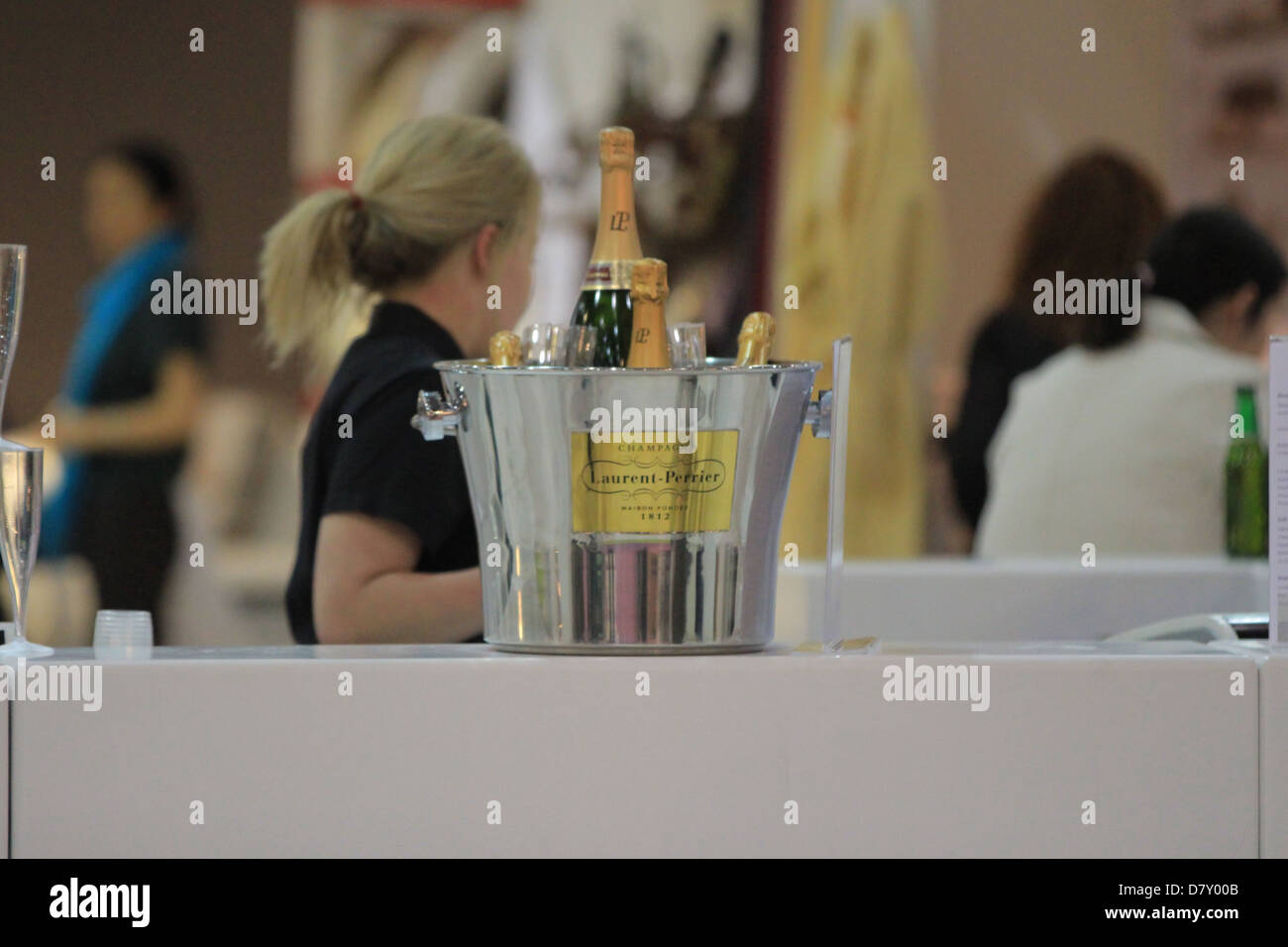 Grand Designs Live 2013 Foto Stock