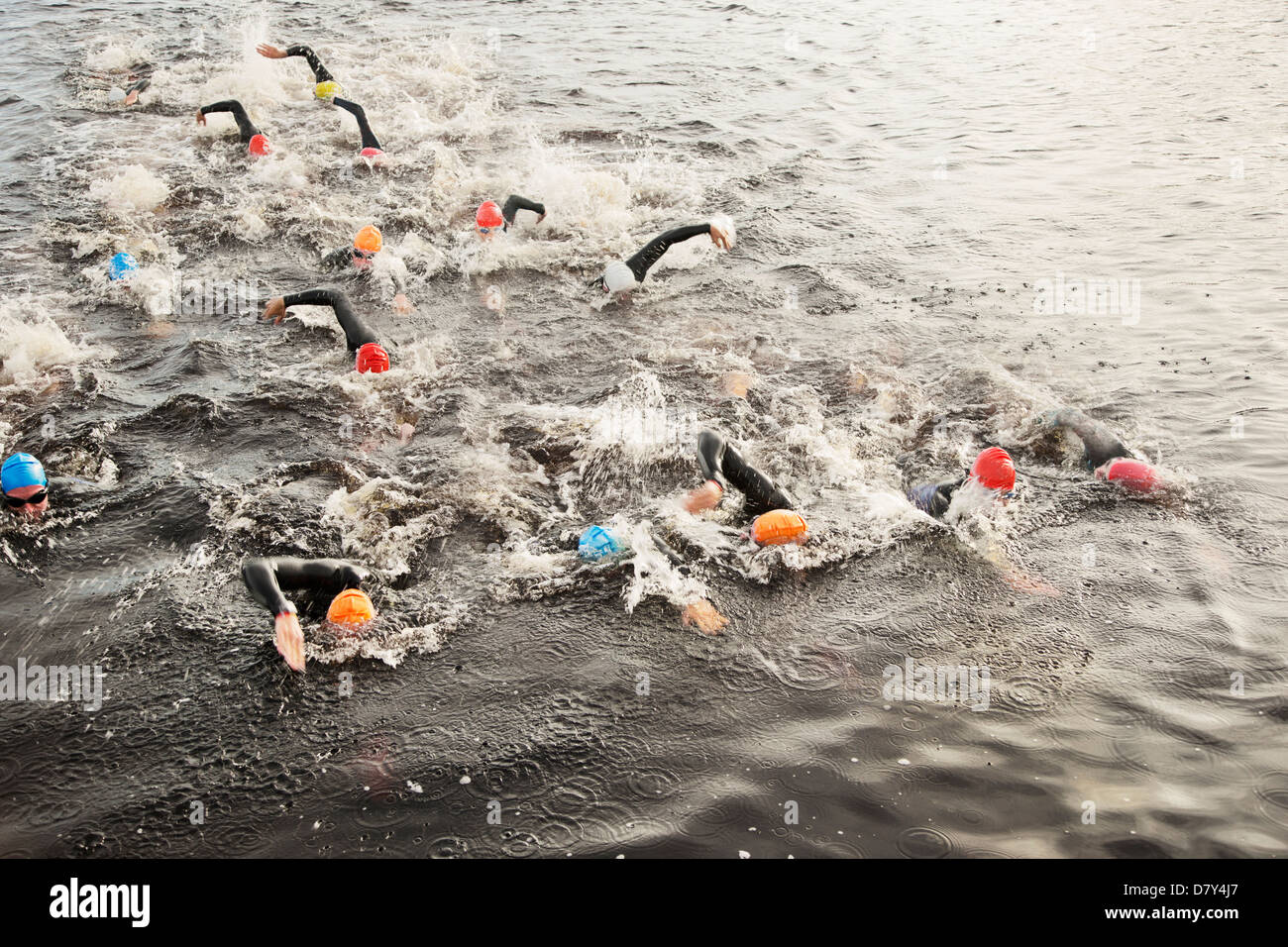 Triatleti di nuoto in acqua Foto Stock