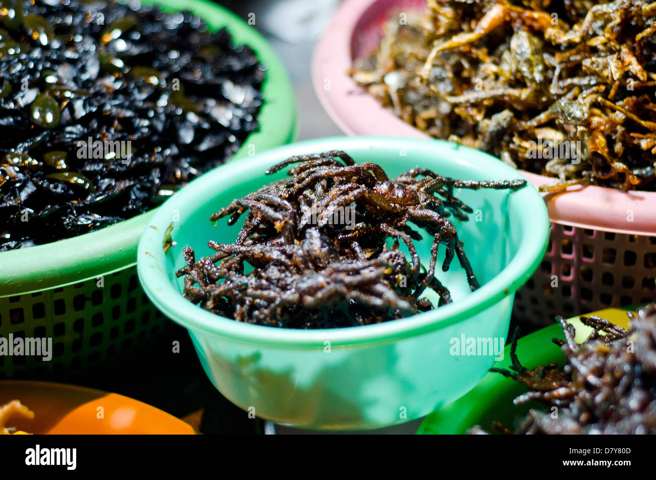Gli insetti in vendita da venditore ambulante al Riverside,Phnom Penh Cambogia Foto Stock