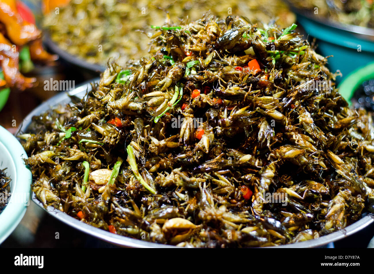 Gli insetti in vendita da venditore ambulante al Riverside,Phnom Penh Cambogia Foto Stock