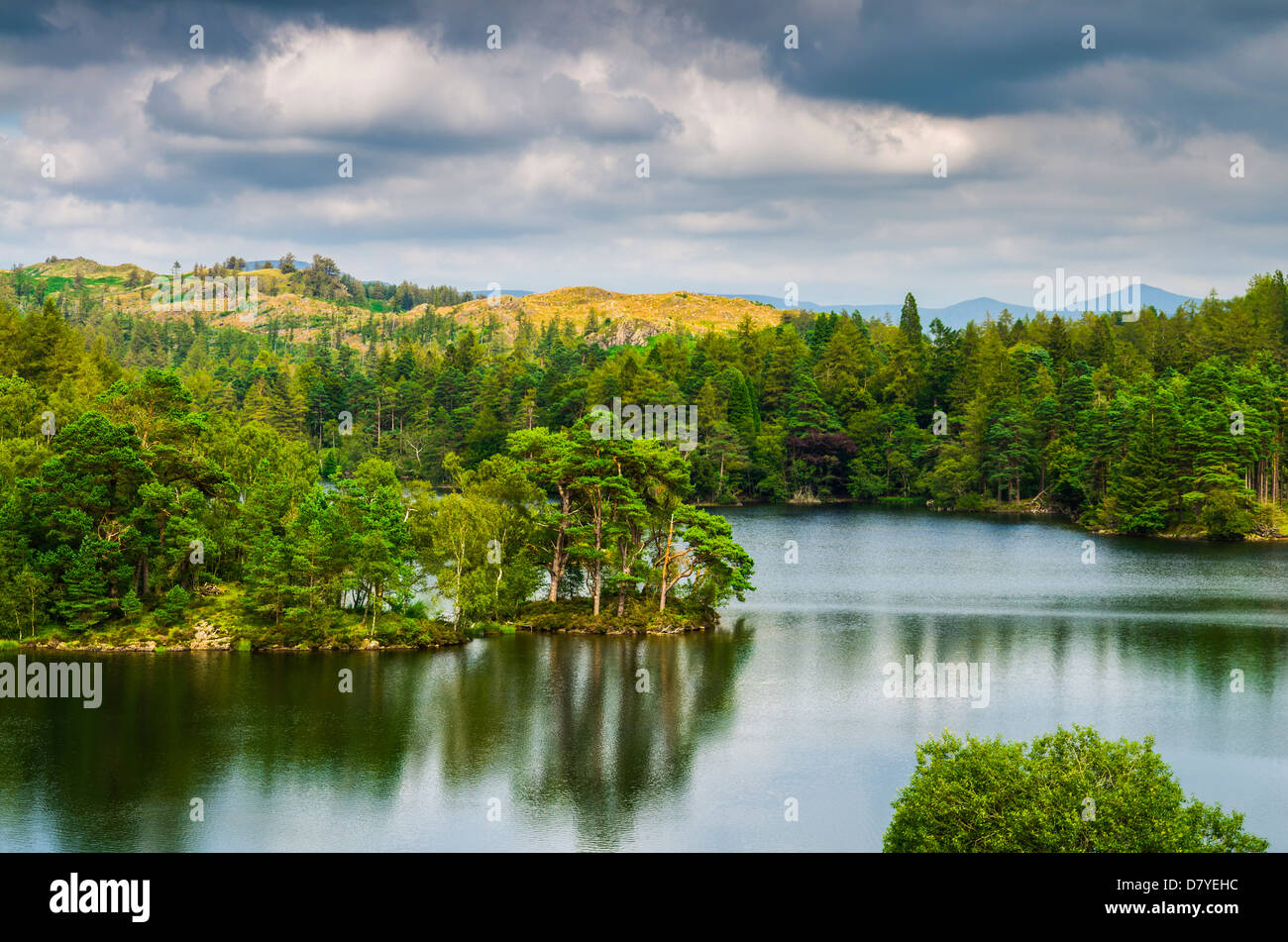 Tarn Hows circondata da una foresta nel distretto del lago vicino a Coniston, Cumbria, Inghilterra. Foto Stock