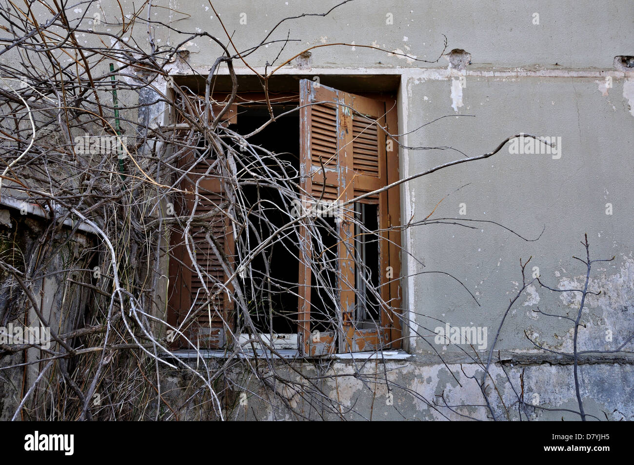 Rami ricoperta di pelatura e muro rotto persiana di Haunted House. Foto Stock