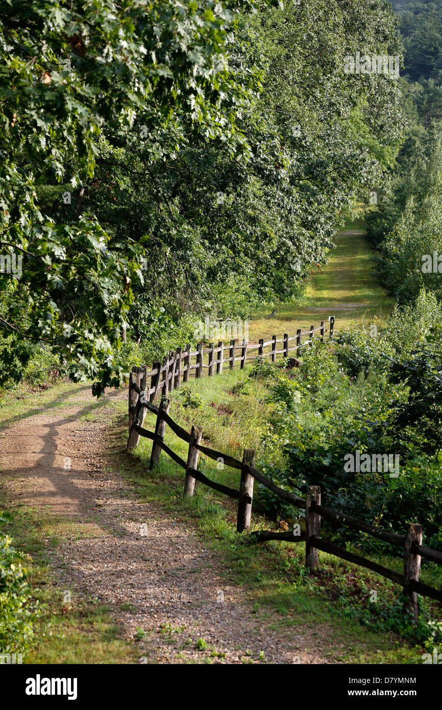 Vicolo del paese nel parco Quabbin, Massachusetts Foto Stock