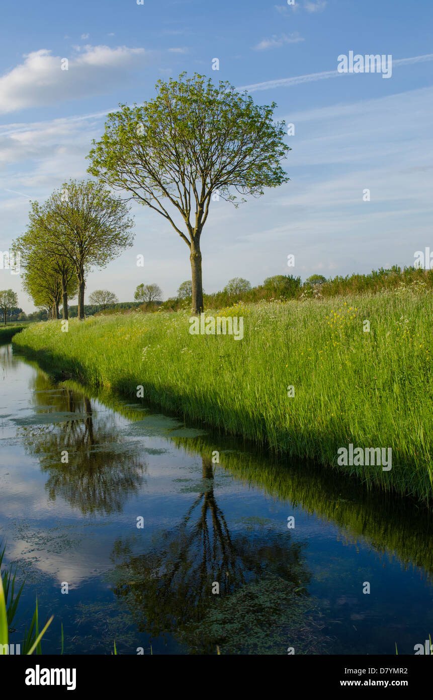 Tipico modo di acqua nei terreni agricoli olandese Foto Stock