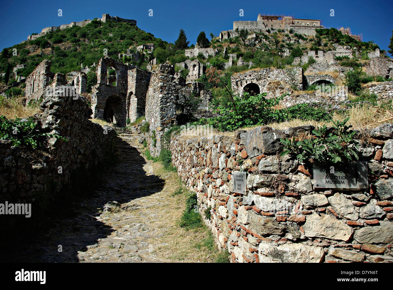 Mistra è un borgo fortificato situato su Mt. Taigetos, vicino all'antica Sparta, è servita come capitale della cultura bizantina Despotate. Foto Stock