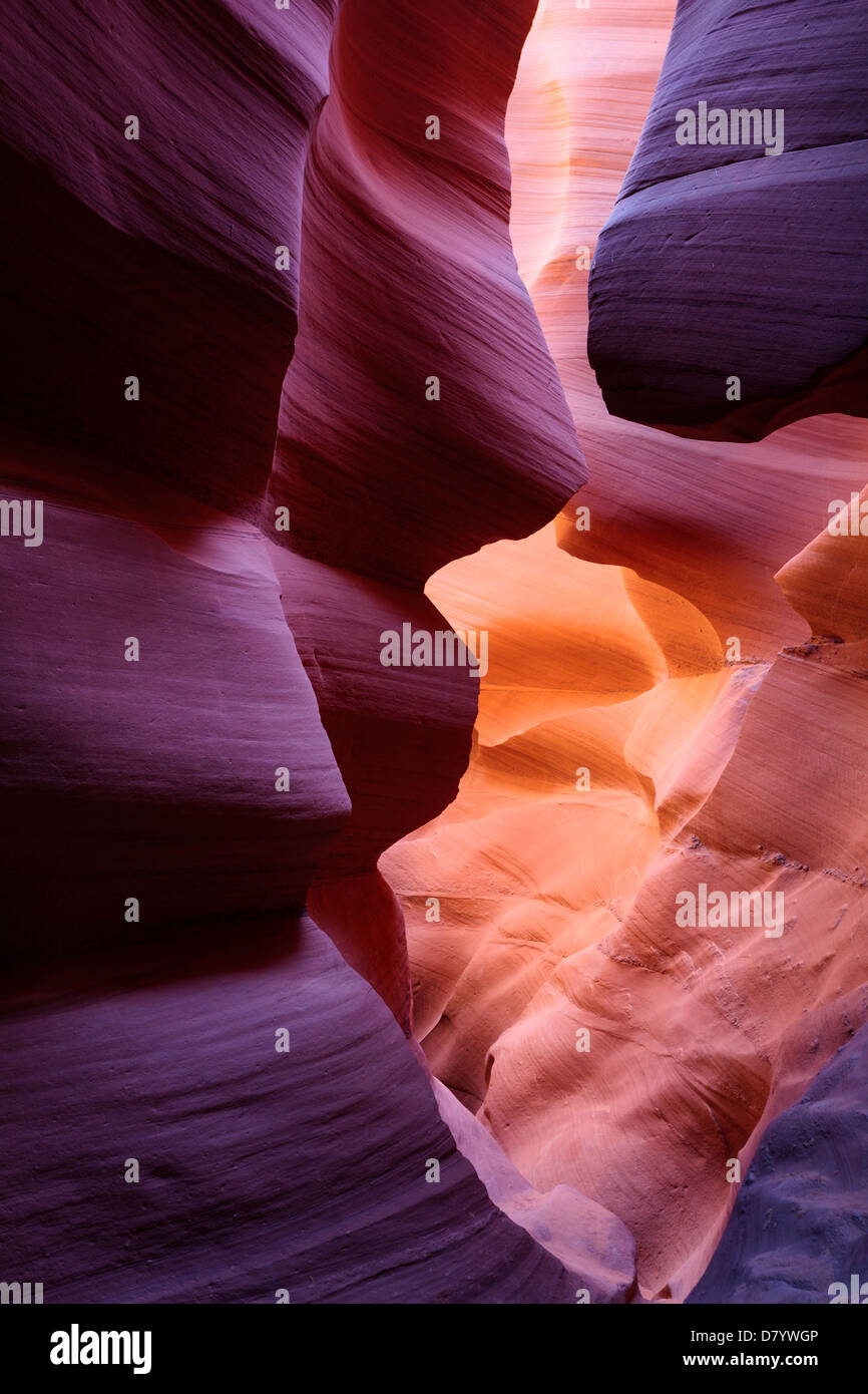 Stati Uniti d'America, Arizona, pagina, abbassare Antelope Canyon Foto Stock