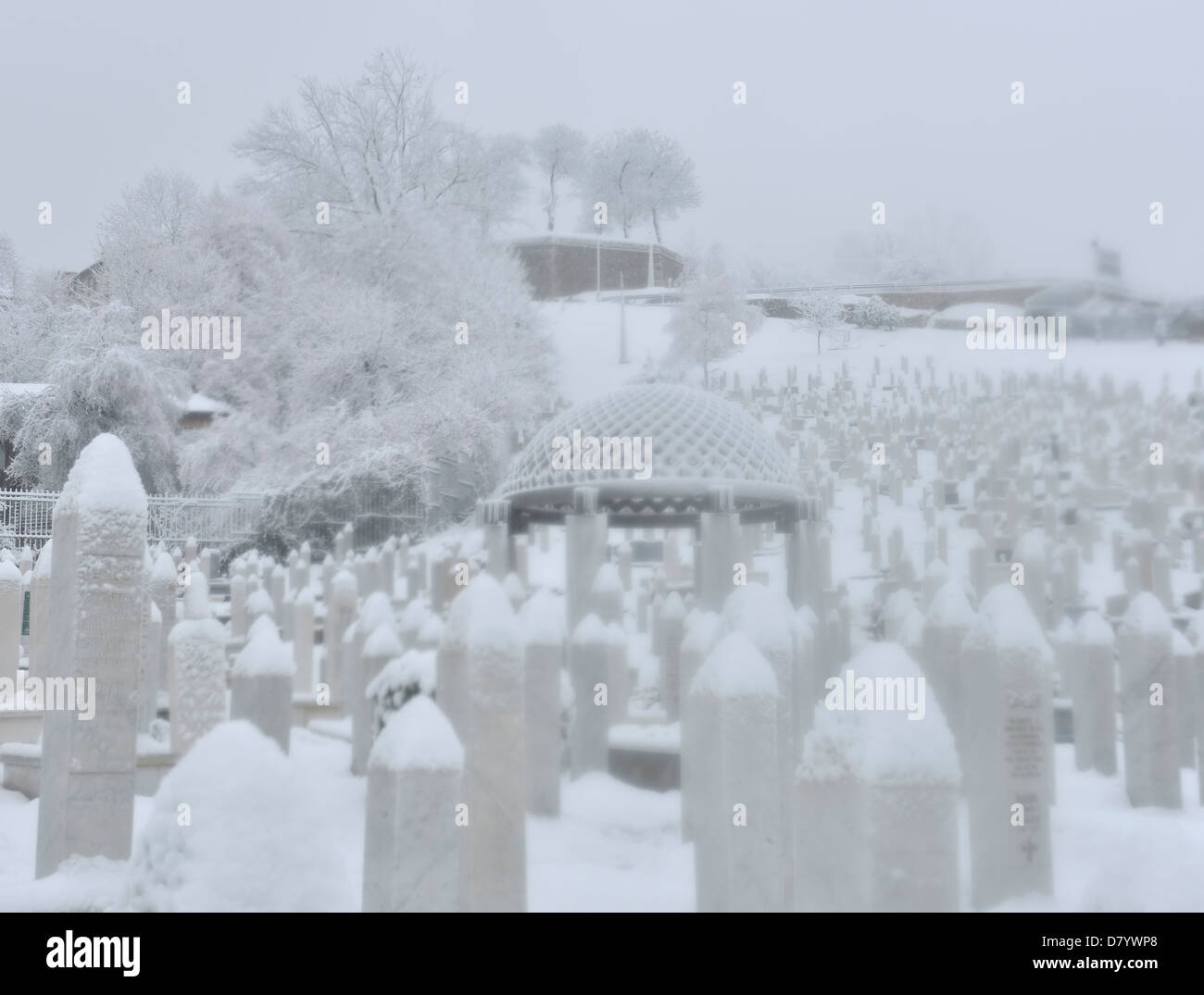 Le tombe delle vittime della guerra civile in dei martiri Memorial Cemetery Kovaci con Alija Izetbegovic tomba, Sarajevo, Bosnia ed Erzegovina Foto Stock