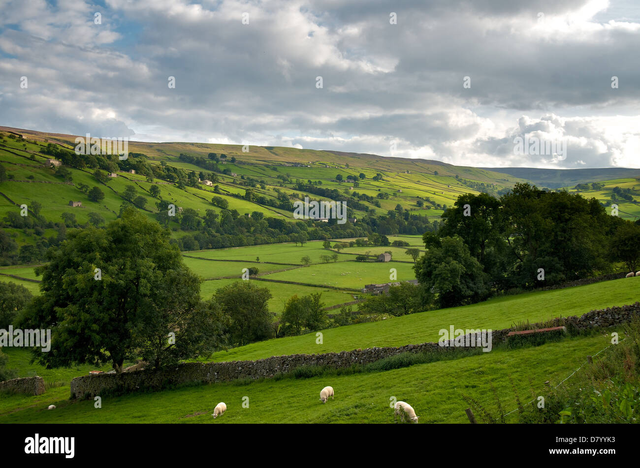 Una vista di Swaledale, una delle più pittoresche valli dello Yorkshire. Foto Stock