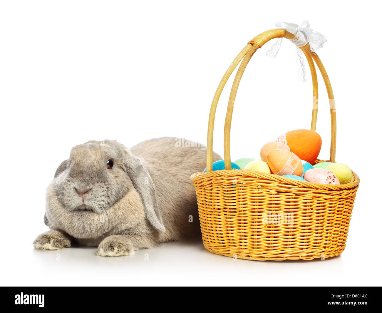 Grigio-lop earred il coniglio e il cesto di Pasqua, isolato su bianco Foto Stock