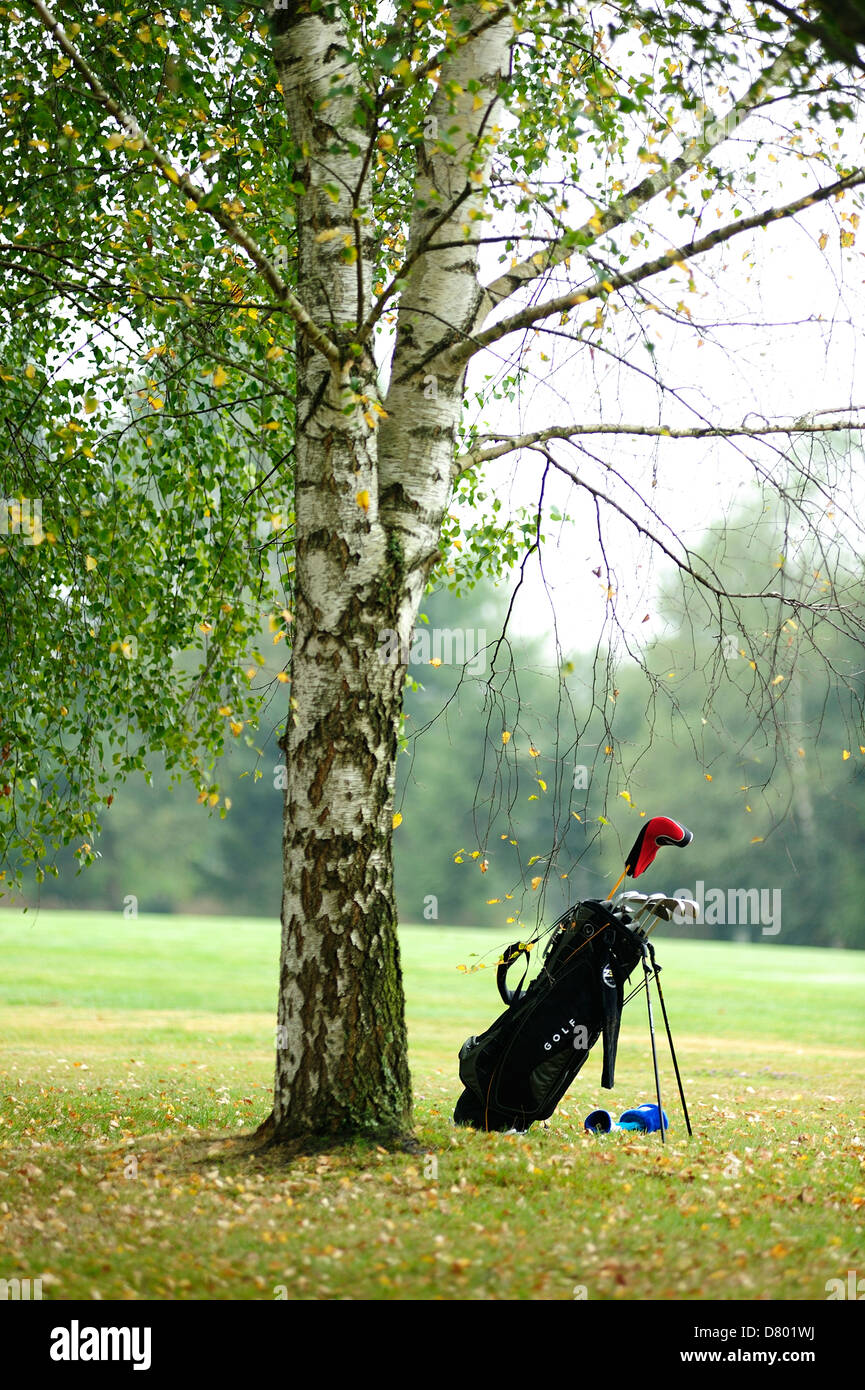 Borsa da golf sotto l'albero Foto Stock