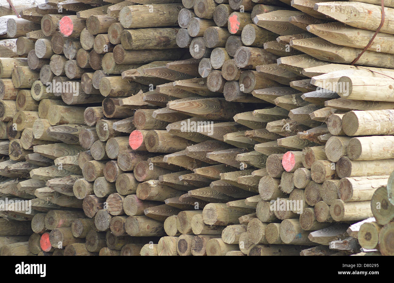 Staccionata in legno montanti - immagine di sfondo artistico Foto Stock