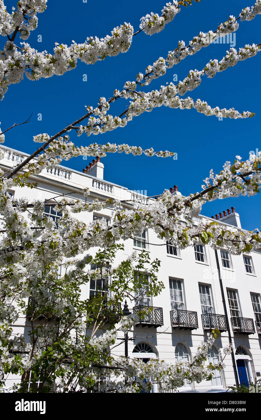 Albion Terrazza in Reading, Berkshire, un edificio classificato Grade II. Inghilterra, GB, UK. Foto Stock