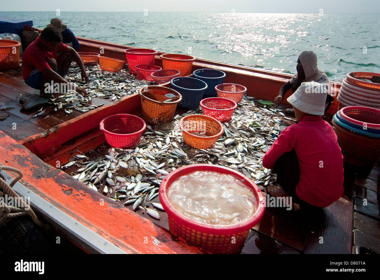 Ispezionare i pescatori e grado di pesci pronti per la vendita in Samutsongkram, Thailandia Foto Stock