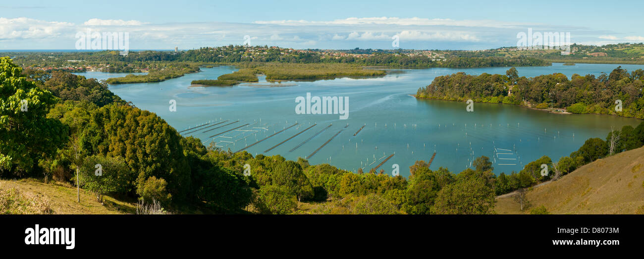 Teranora Broadwater da altezze Bilambil Panorama, NSW, Australia Foto Stock