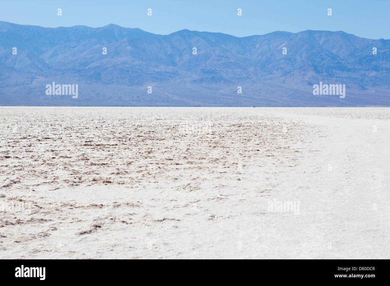 Badwater saline nel Parco Nazionale della Valle della Morte Foto Stock