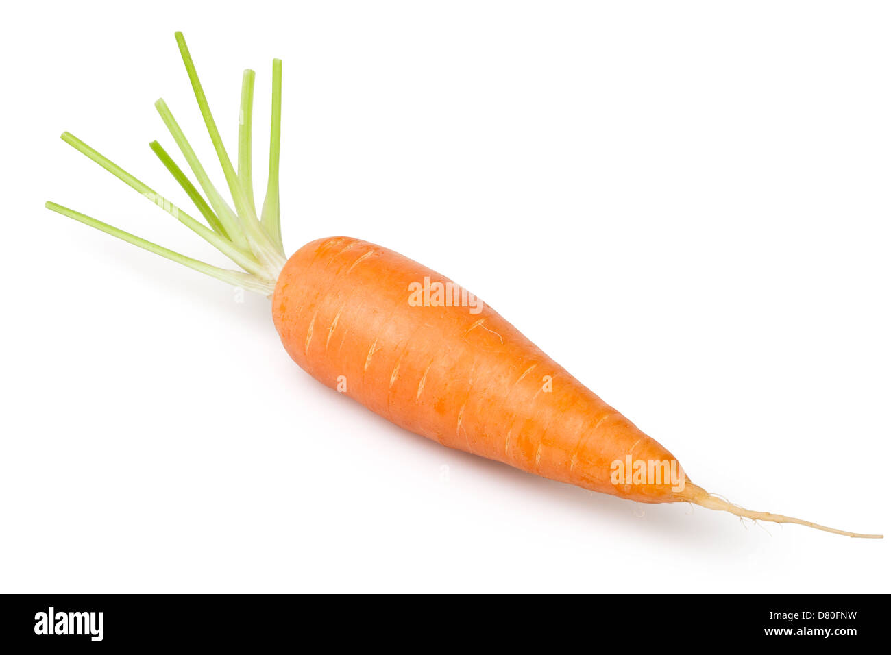 La carota uno su sfondo bianco Foto Stock