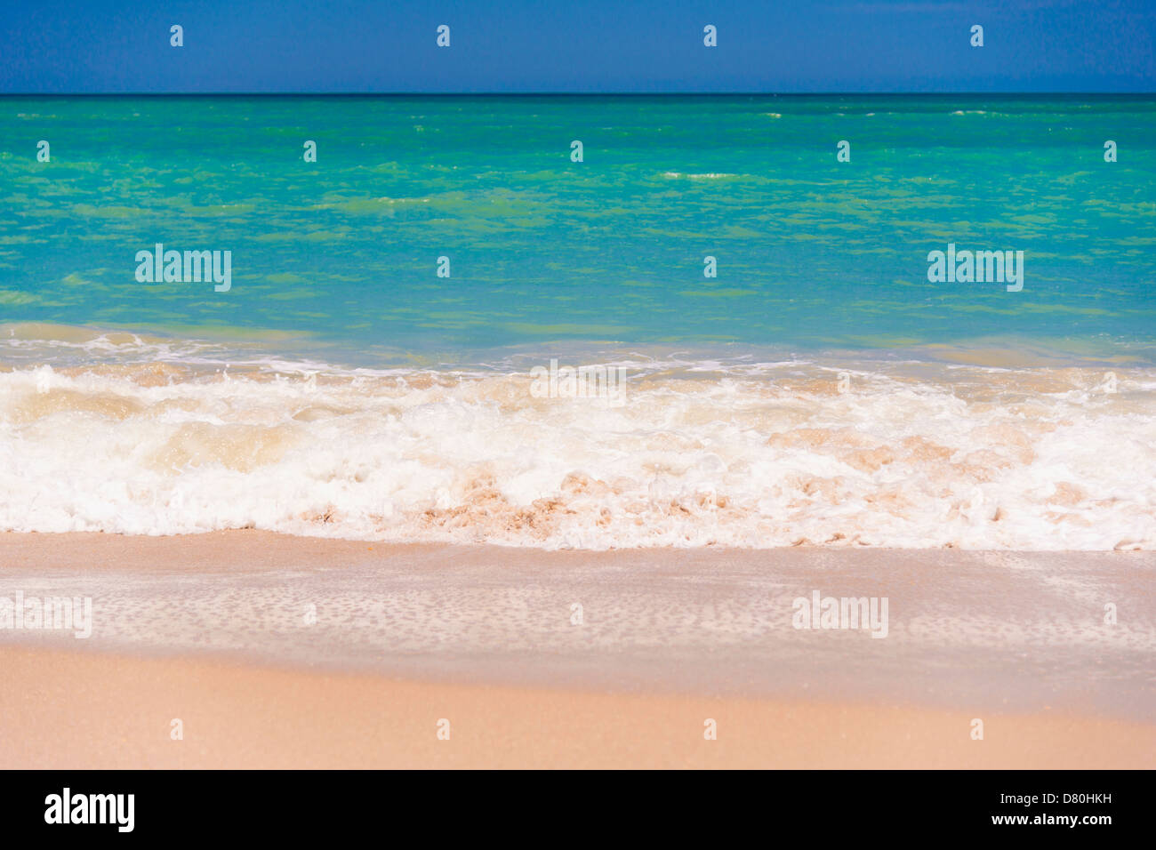 Scena Beach, Florida, Stati Uniti d'America Foto Stock