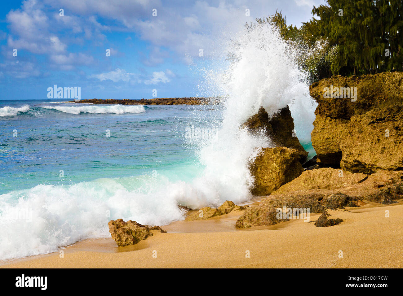 Enorme onda si blocca nella roccia lungo la North Shore di Oahu, Hawaii Foto Stock