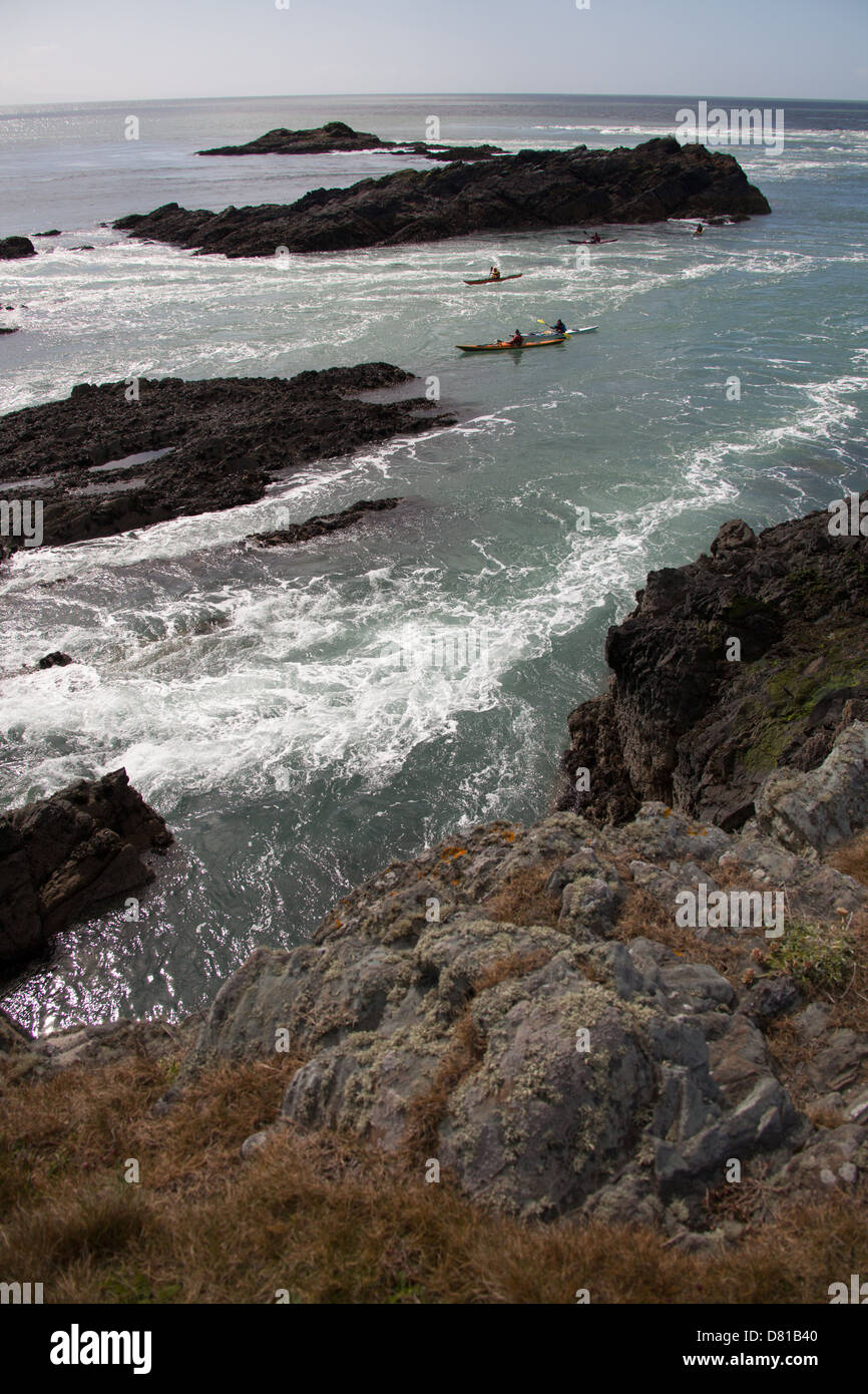 Il Galles sentiero costiero nel Galles del Nord. Vista pittoresca di canoisti' sulla costa ovest di Isola Santa. Foto Stock