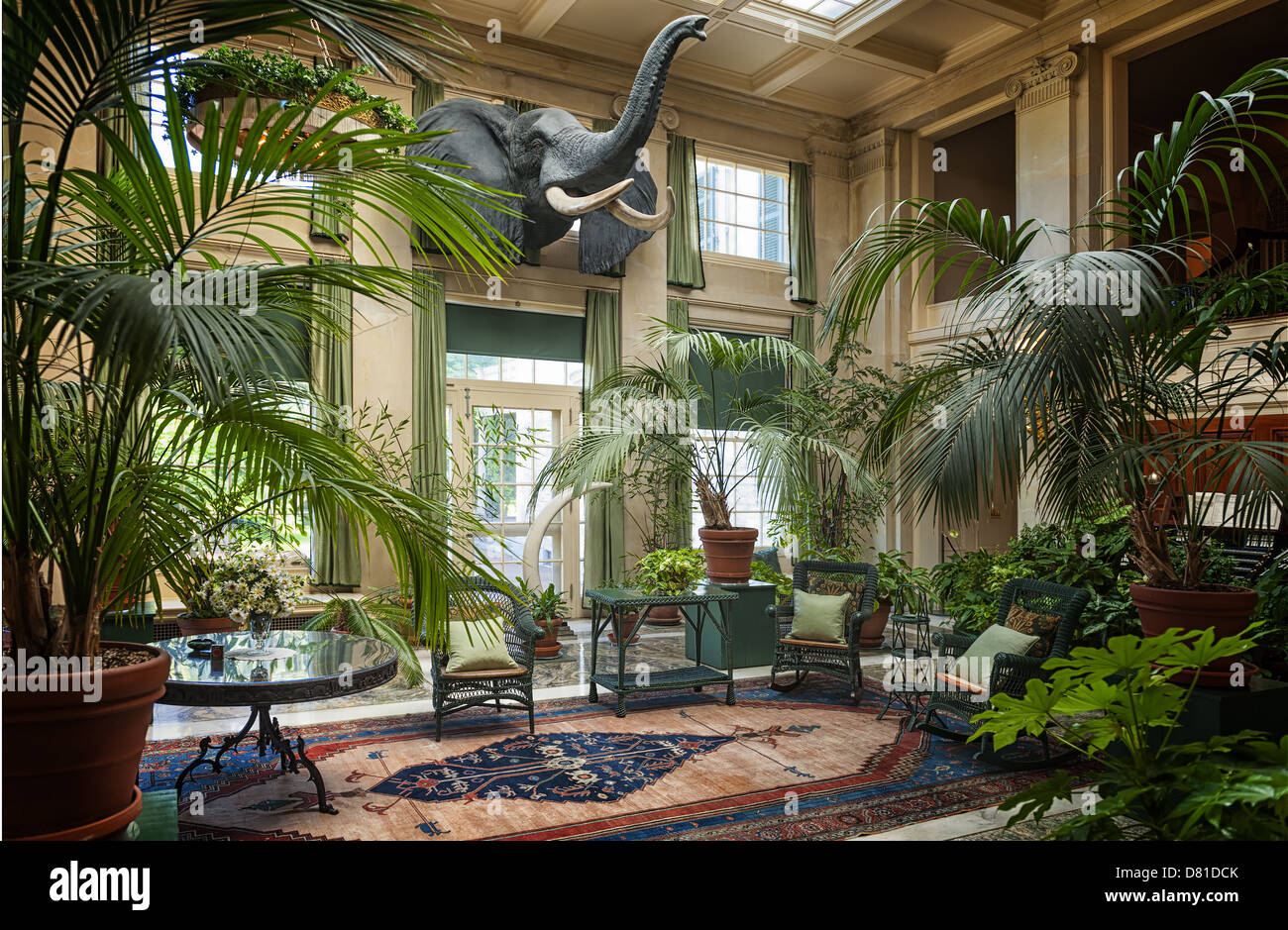 Un'immagine del Conservatorio presso la George Eastman House di Rochester New York Foto Stock