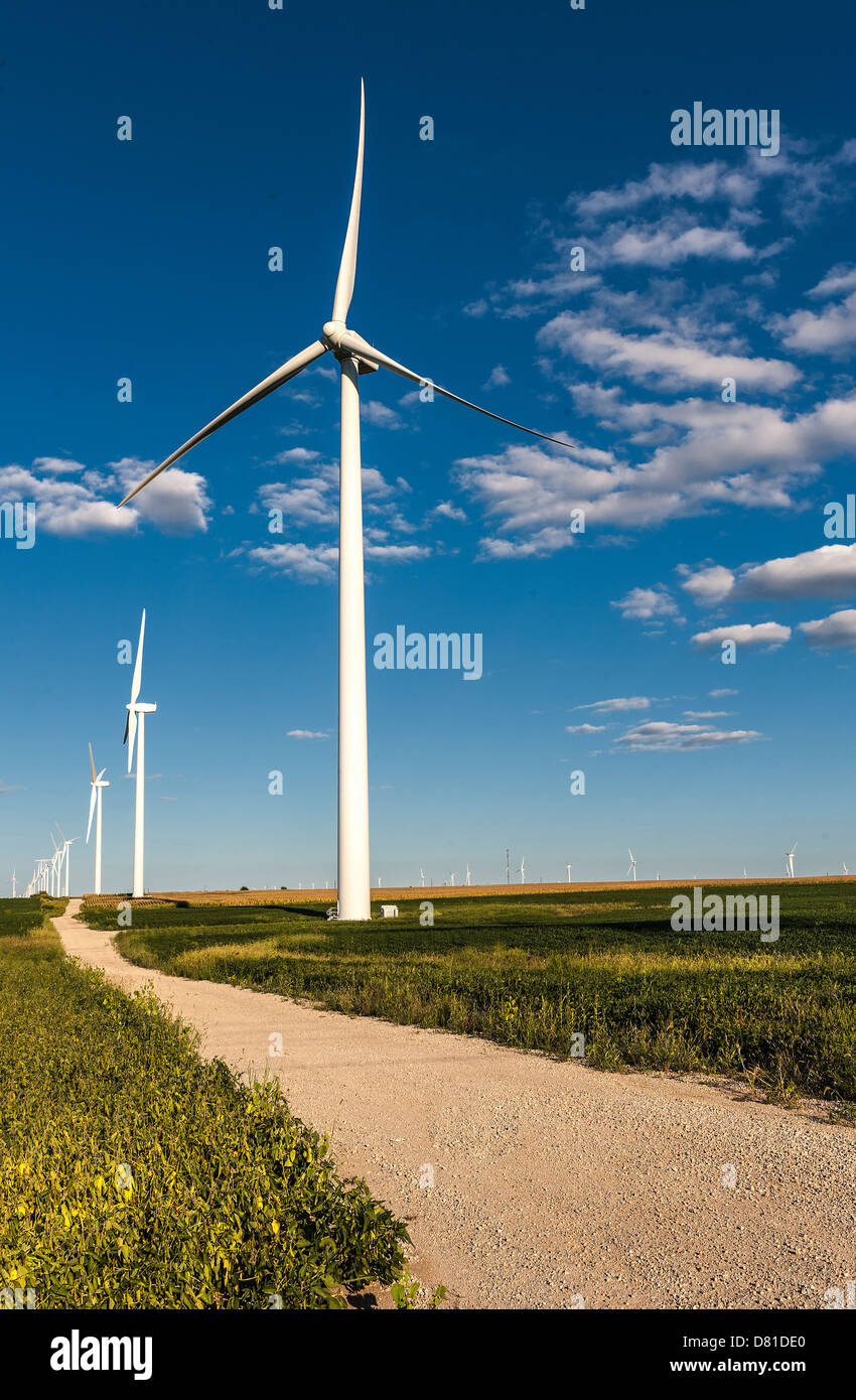 BP wind farm Earl Park indiana, la più grande fattoria eolica nel Mid West Foto Stock