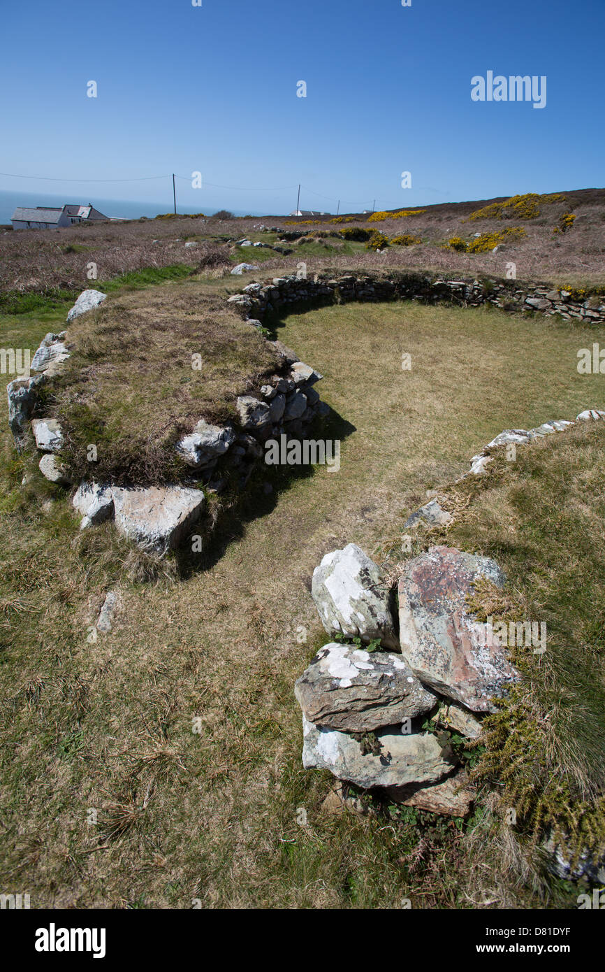 Il Galles sentiero costiero nel Galles del Nord. Il Ty Mawr hut cerchi sono un antico insediamento vicino a South Stack. Foto Stock