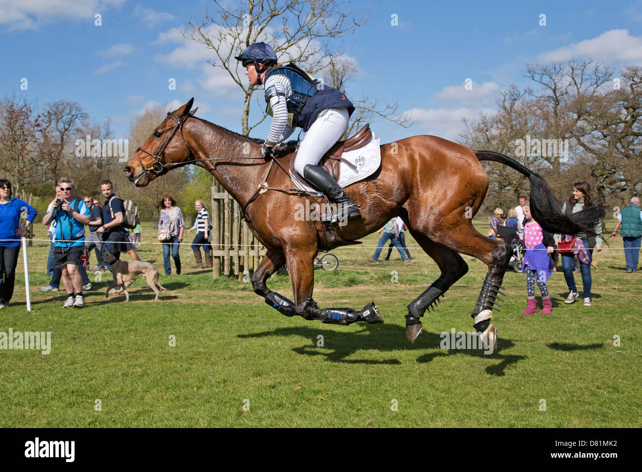 Anne Warnecke su Twinkle Bee al 2013 Mitsubishi Motors badminton Horse Trials Foto Stock