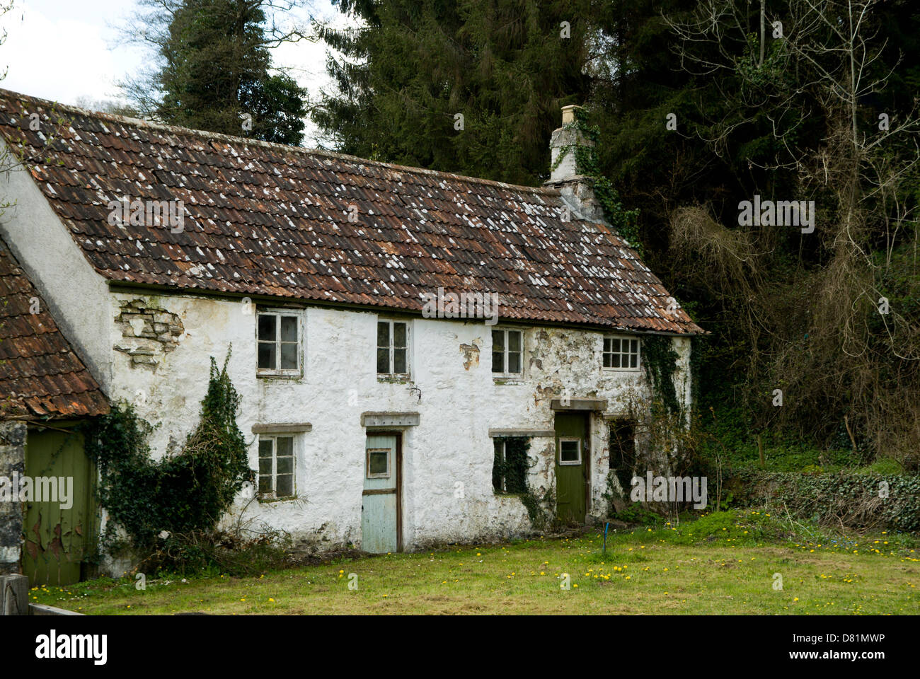Vecchia casa diroccata, Tintern, waye valley, Monmouthshire, Galles del Sud. Foto Stock