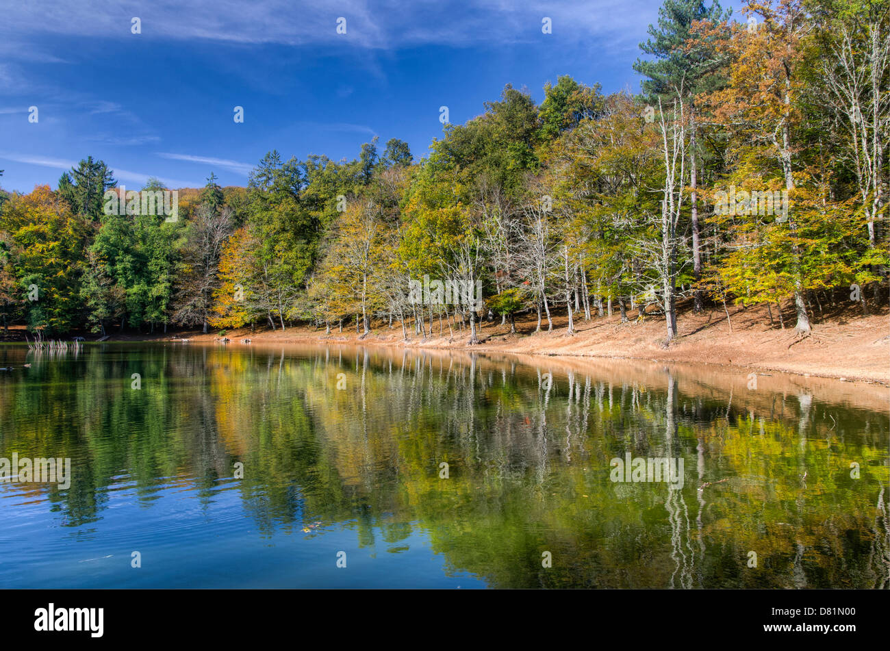 Italia Puglia il Parco Nazionale del Gargano Foresta Umbra Riserva Naturale - Lago Umbra - autunno Foto Stock