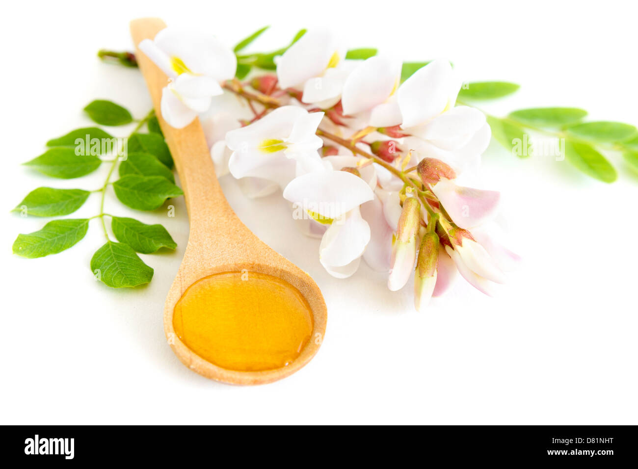 Il miele in cucchiaio con fiori di acacia su sfondo bianco Foto Stock