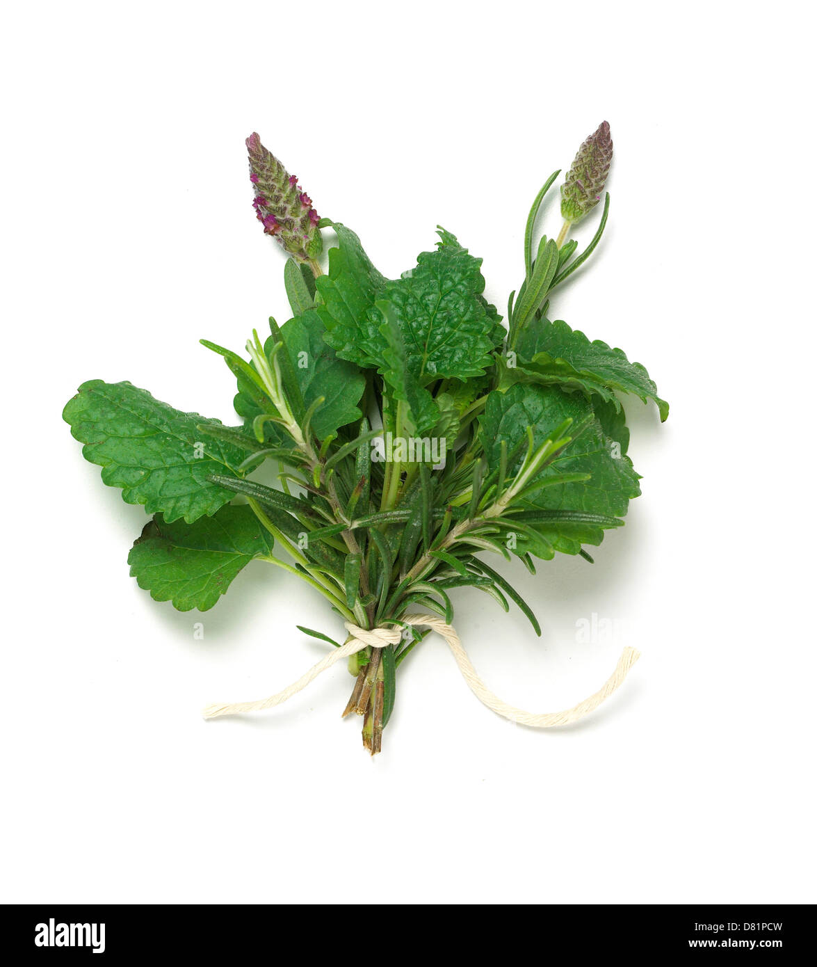 Mazzetto di erbe aromatiche legato con una corda tagliata su uno sfondo bianco Foto Stock