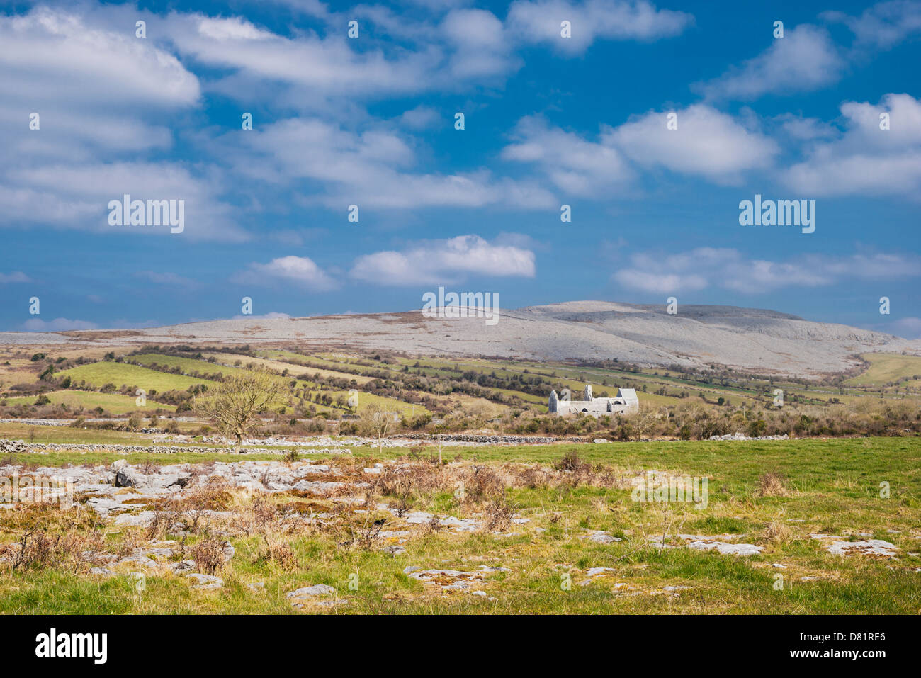 Abbey Hill, Burren, County Clare, Irlanda, comprese le zone depresse del XIII secolo il monastero cistercense di Corcomroe Abbey Foto Stock