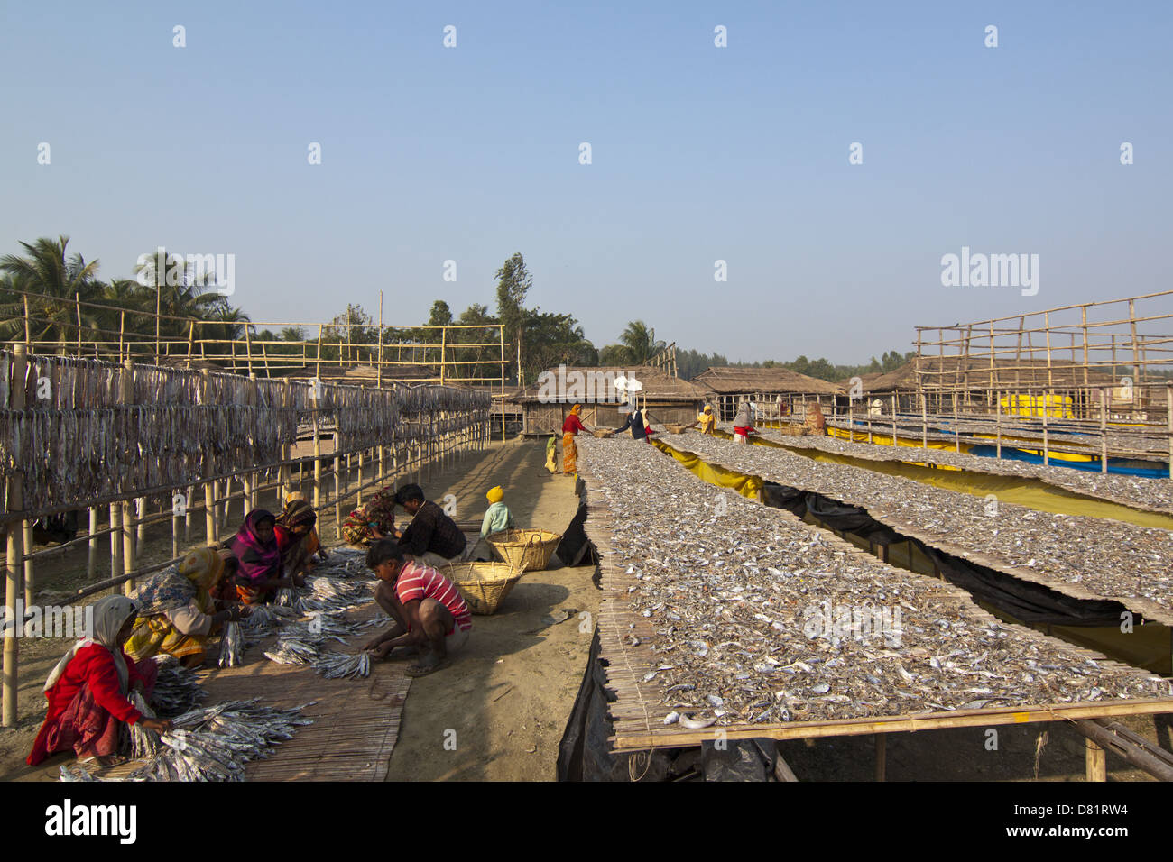 Il villaggio di fisher in Bangladesh Foto Stock