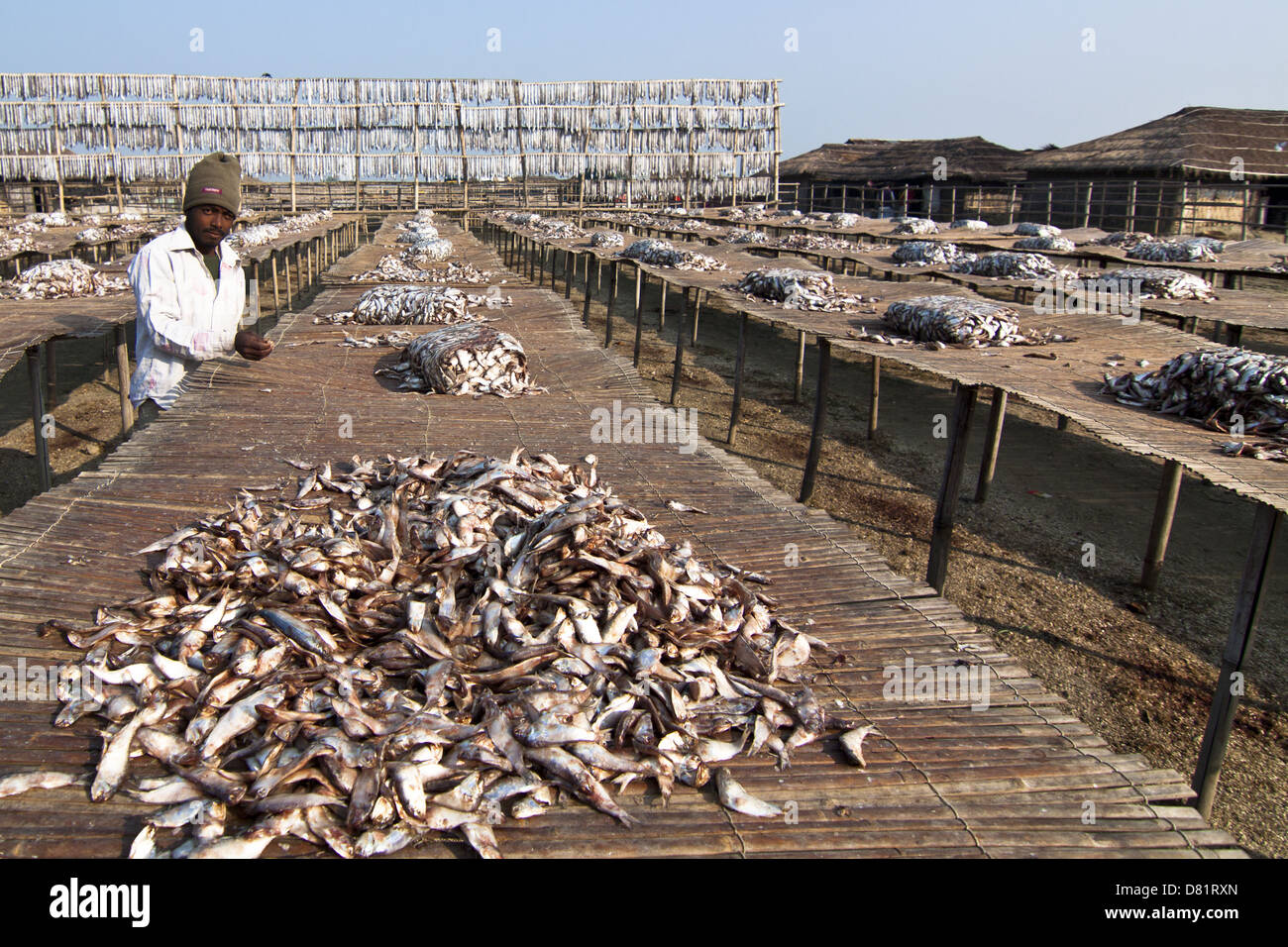Il villaggio di fisher in Bangladesh Foto Stock