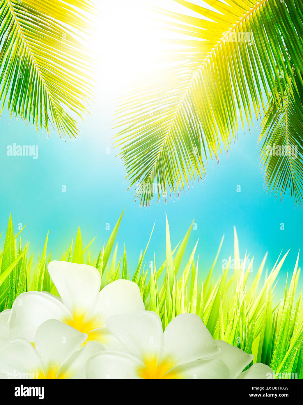 Concetto tropicale. Composizione verticale. Foto Stock