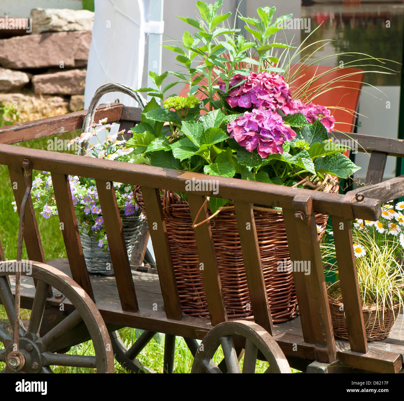 Ruota, parlato, estate, Impianti, Basket, multicolorata, pentola floreale Foto Stock