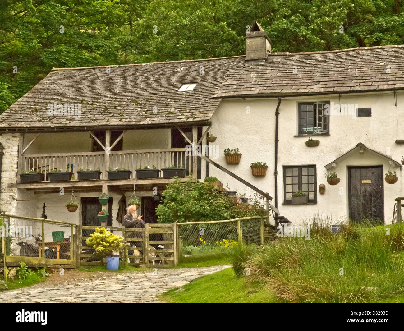 Lake District. Un tipico rurale casa pastorale con un vecchio uomo di fronte ad essa, Tilberthwaite, Cumbria, Regno Unito, Foto Stock