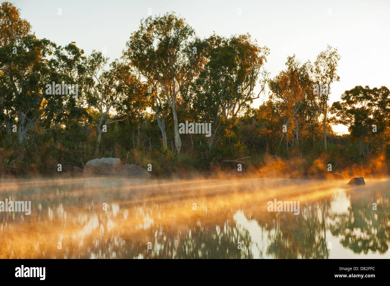 Primo sole del mattino travi sul Fiume Manning. Foto Stock