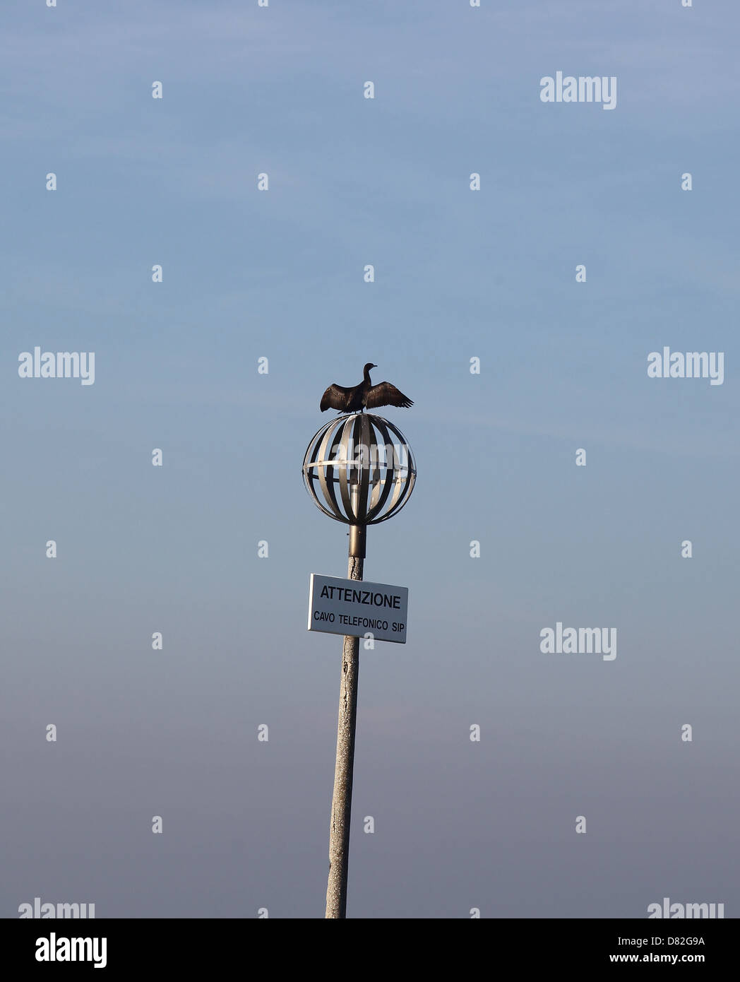 Un cormorano con le ali stese o disteso su un post Foto Stock