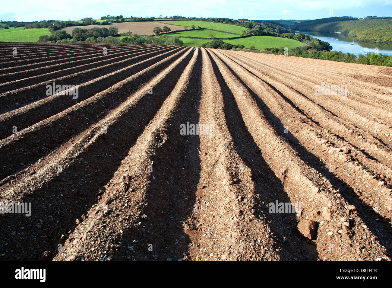 Un nuovo campo arato in Cornwall, Regno Unito Foto Stock