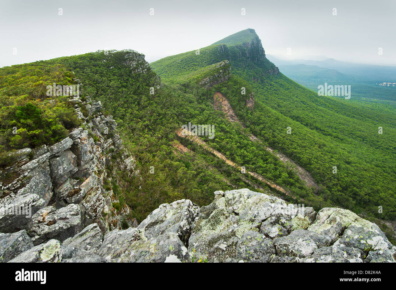Misty Mood al Signal Peak nel Grampians National Park. Foto Stock