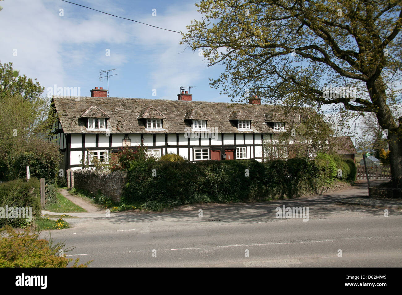 Alms House 1686 in bianco e nero Village Trail Pembridge Herefordshire England Regno Unito Foto Stock