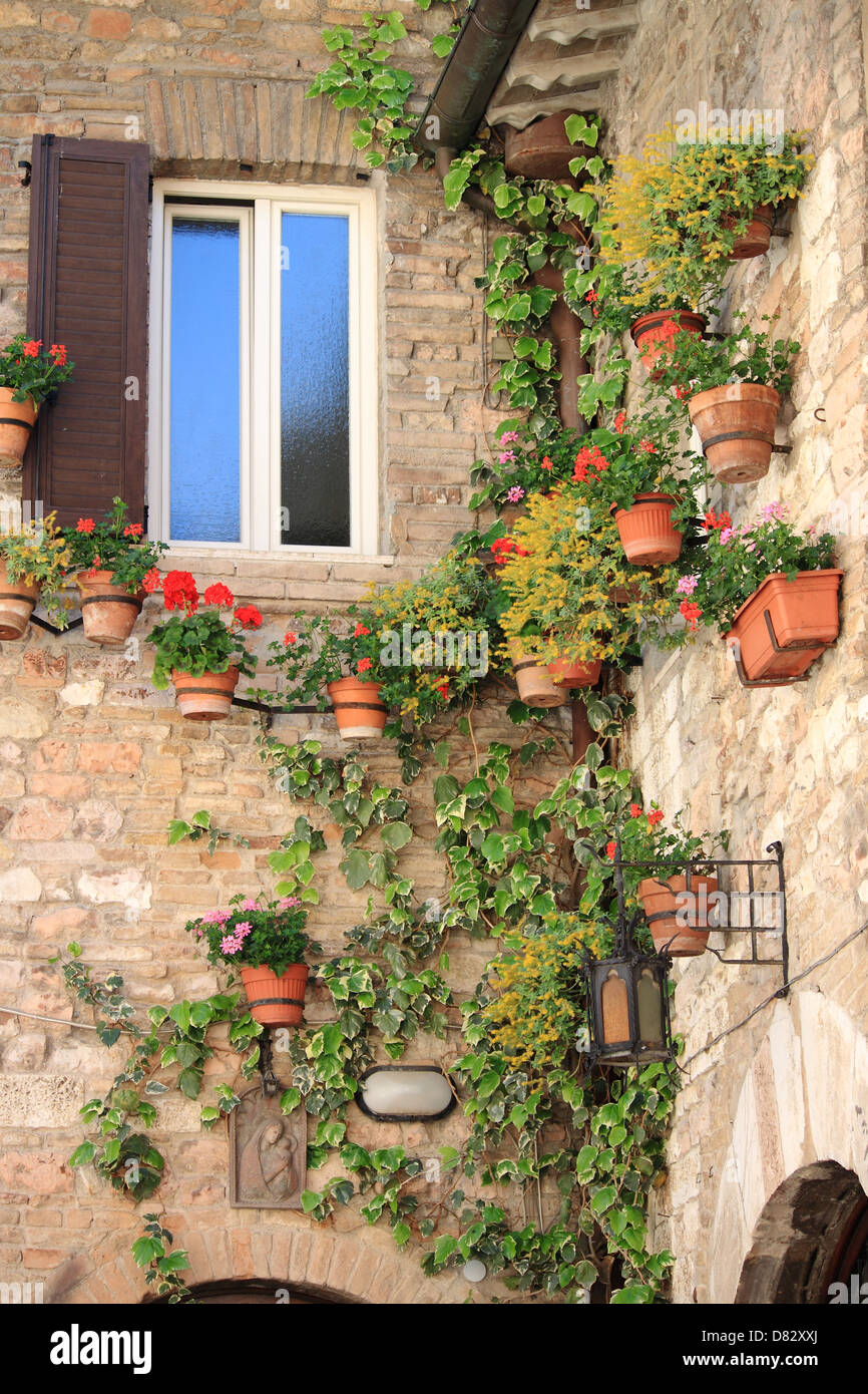 Angolo medievale con fiore e pentole in Assisi, Italia Foto Stock