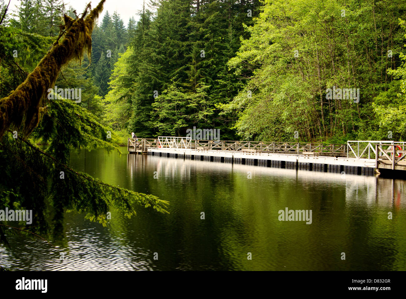 La pesca nella città di corpo idrico Lago di riso North Metro Vancouver abbassare Seymour Conservation Reserve Foto Stock
