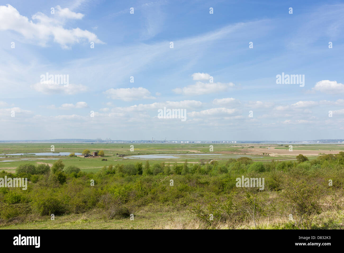 Guardando da sud verso nord Hill RSPB verso il Tamigi. Nord Kent paludi. Isola di grano. Foto Stock