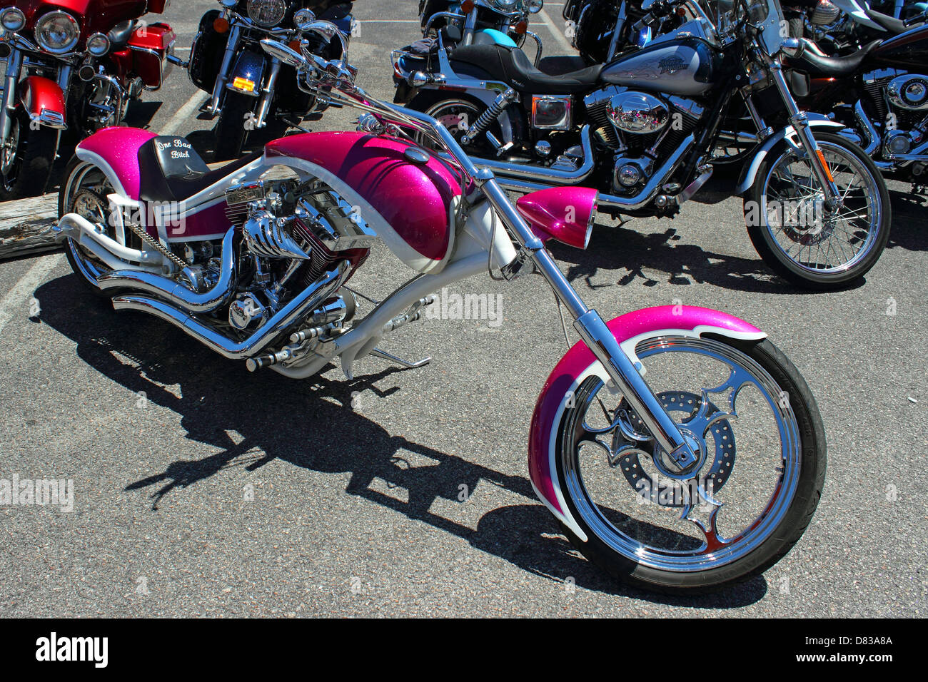Una rosa Harley Davidson Chopper a Myrtle Beach Bike Week 2013, 14 maggio 2013 Foto Stock