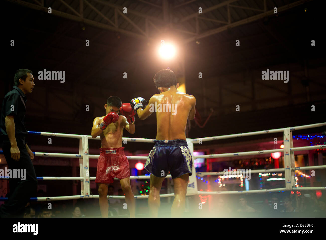 Muay Thai Kickboxing Foto Stock