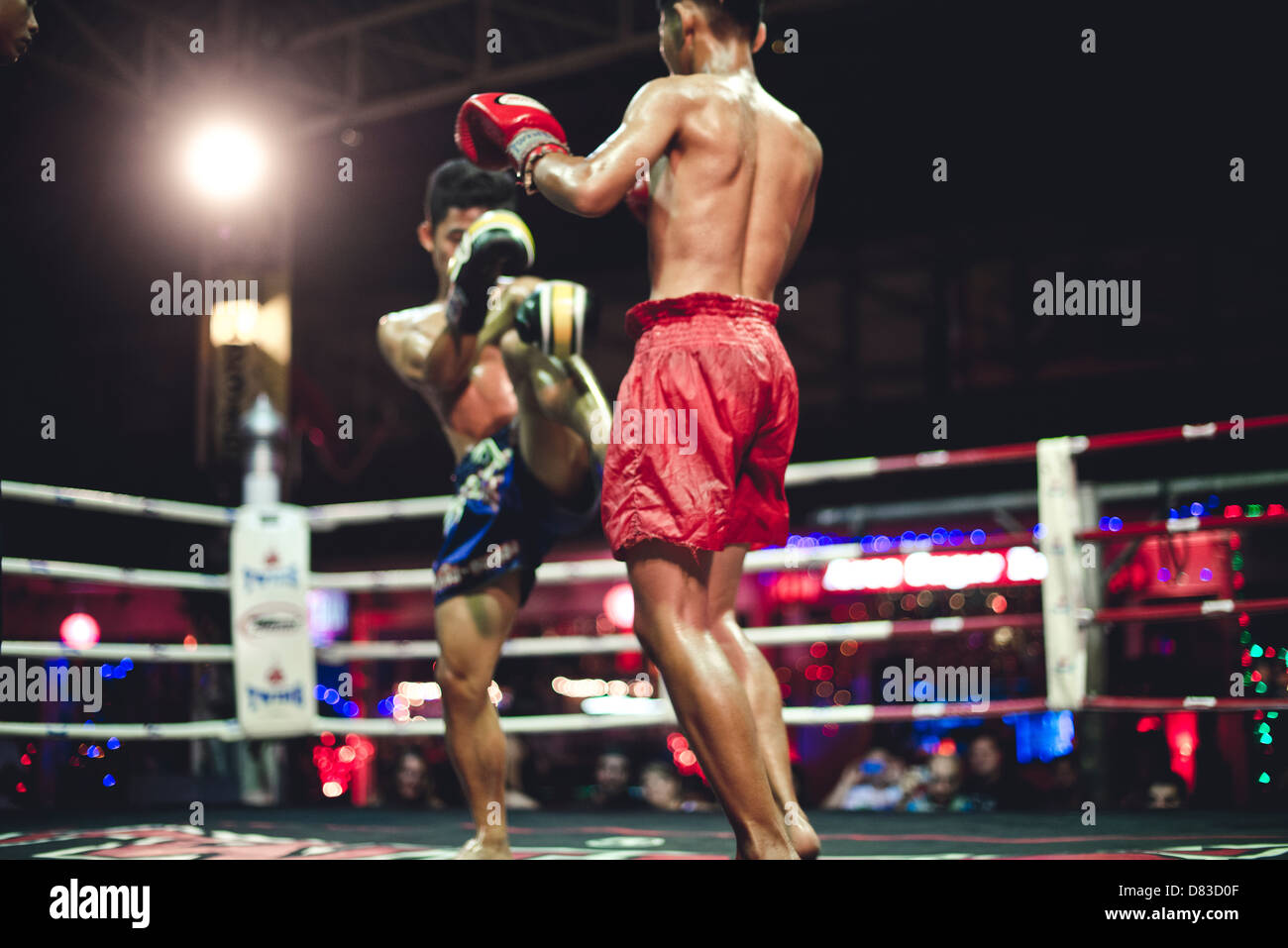 Muay Thai Kickboxing Foto Stock