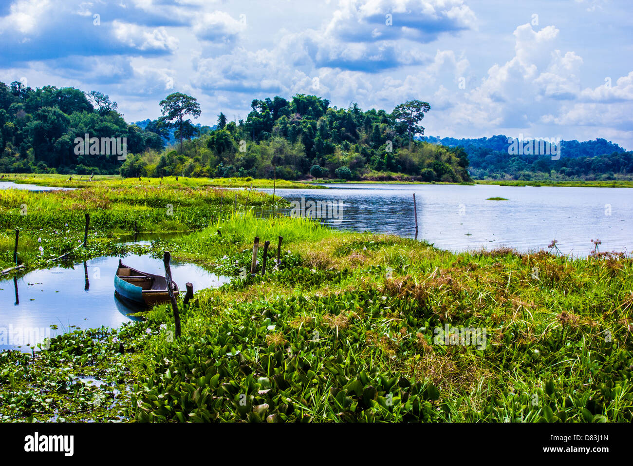 Lago di coccodrillo situato in Cat Tien Parco nazionale del Vietnam Foto Stock