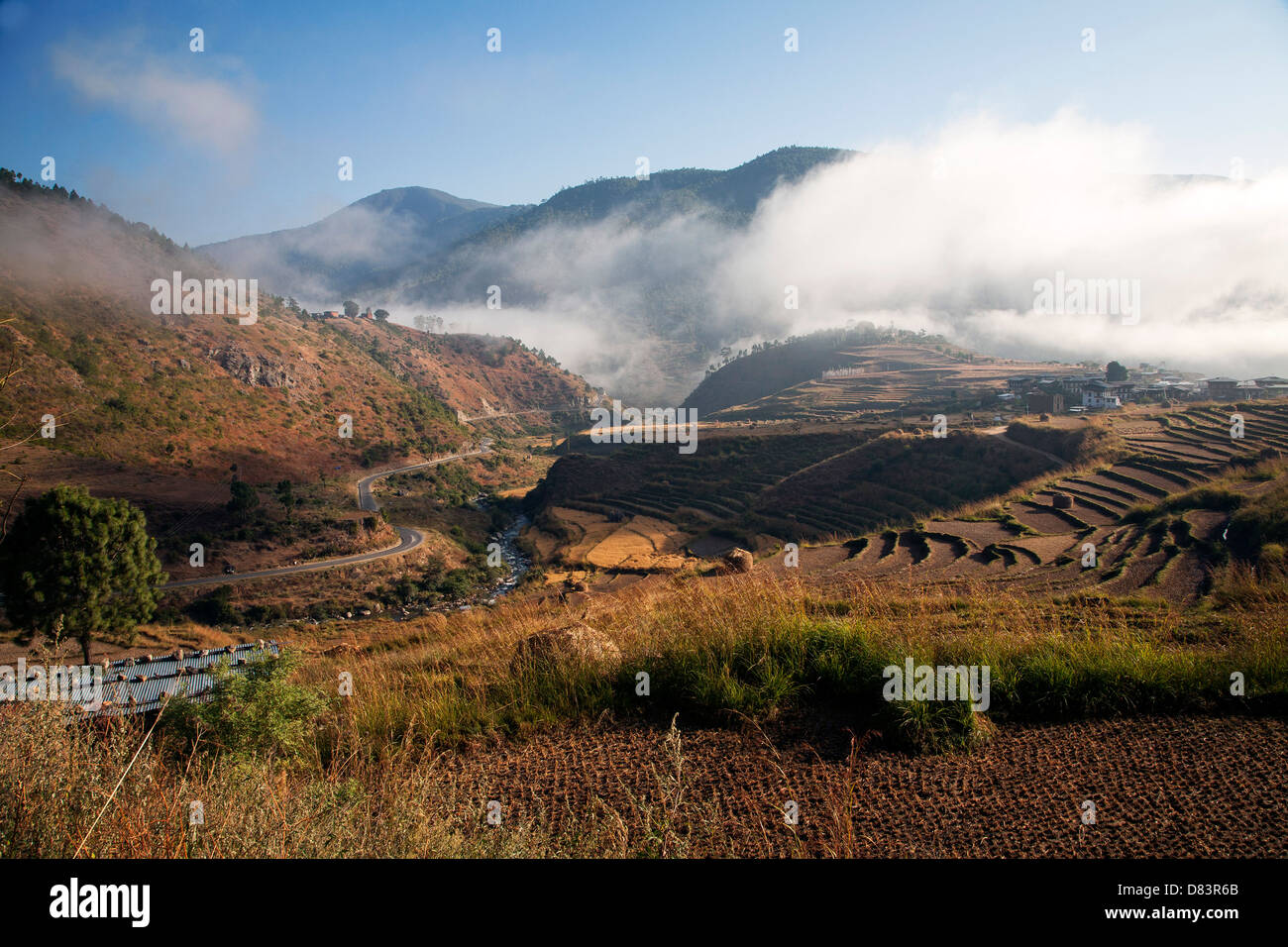 Nebbia di mattina ustioni di sopra il Punakha valley. Il Bhutan. Foto Stock